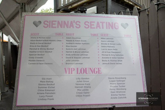 Printed Seating Chart Display with Silver Glitter Border Over Easel for Bat Mitzvah