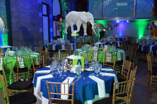 Elephant Centerpiece for Animal Themed Bat Mitzvah at the Bronx Zoo