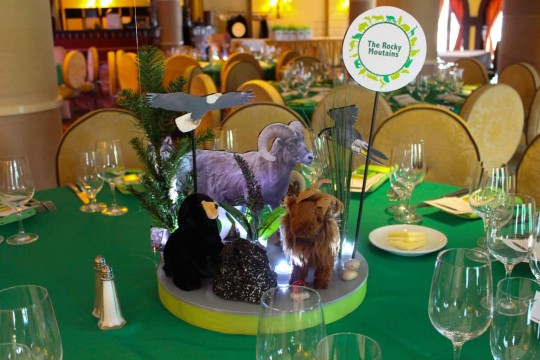 Animal Themed Centerpiece with 3D Cutouts and Props