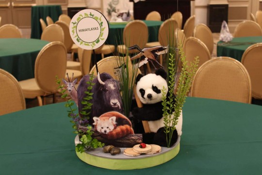 Animal Themed Diorama Centerpiece with Plush Characters & Cutouts
